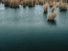 С начала лета на водоёмах утонули трое взрослых и ребёнок