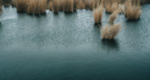 С начала лета на водоёмах утонули трое взрослых и ребёнок